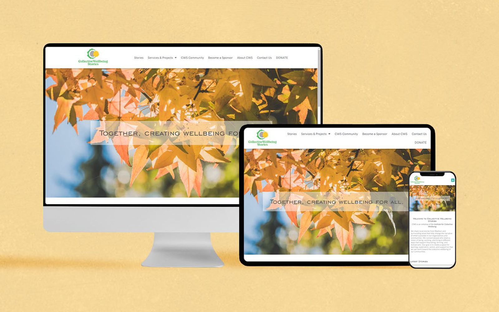 Collective Wellbeing Stories